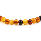 Adult Baltic Amber Bracelet. Baroque Multicolour 6mm - XB65M