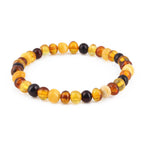 Adult Baltic Amber Bracelet. Baroque Multicolour 6mm - XB65M