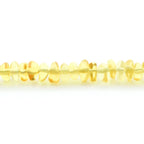 Adult Baltic Amber Bracelet & Gold Plated 925 Sterling Silver 18cm. Round Flat 6x3mm. GC03
