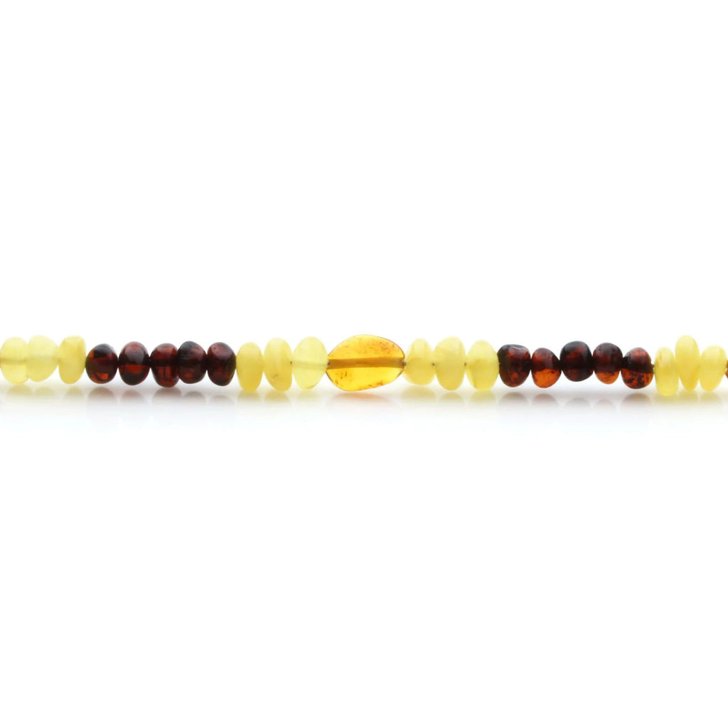 Adult Baltic Amber Bracelet & 925 Sterling Silver Clasp 18cm. LE21