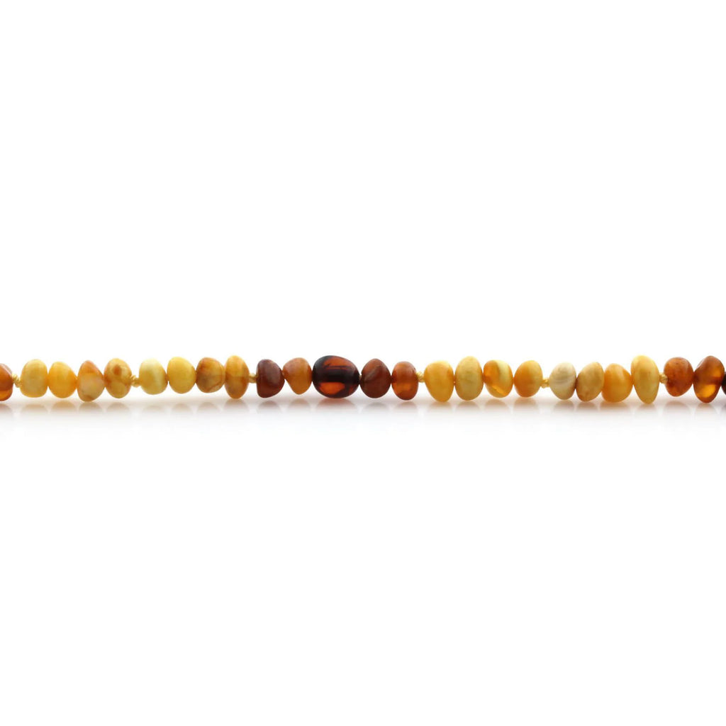 Natural Baltic Amber Junior Necklace. JN24